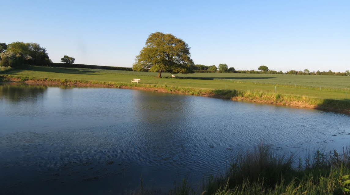 HamptonHouseFarmCV350JH004